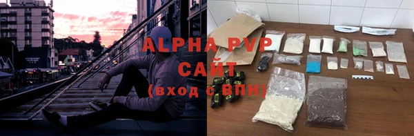 шишки Алзамай