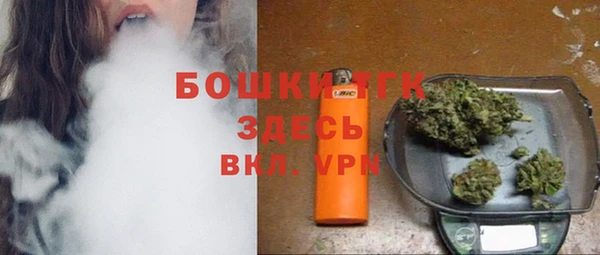 шишки Алзамай