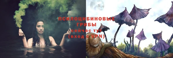 шишки Алзамай