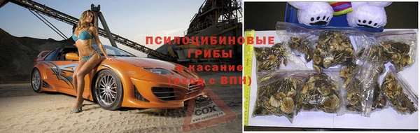 шишки Алзамай