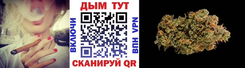Марихуана план  Пучеж 